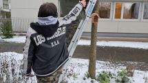Winterzauber: Schüler der GÄMOW füllen Futterhäuser für Eichhörnchen